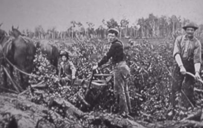 Historia da saude e segurança do trabalho na agricultura